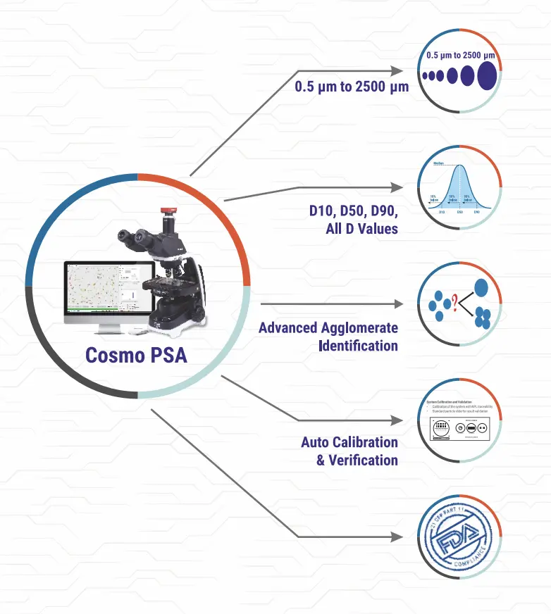 Motorized particle size analysis system with XY scanning stage
