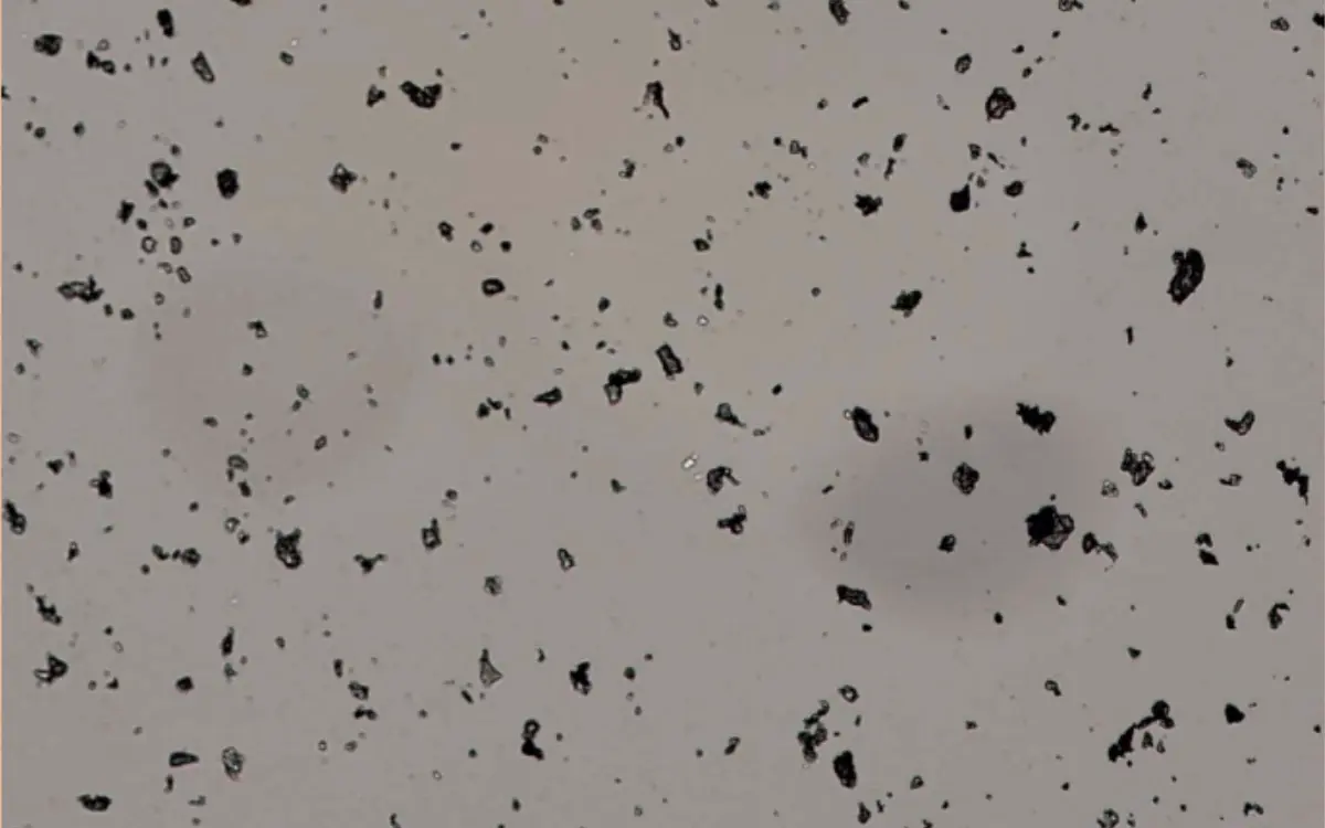 Evenly dispersed dry powder particles on a glass slide using the Cosmo Dry Powder Disperser, reliable image analysis results