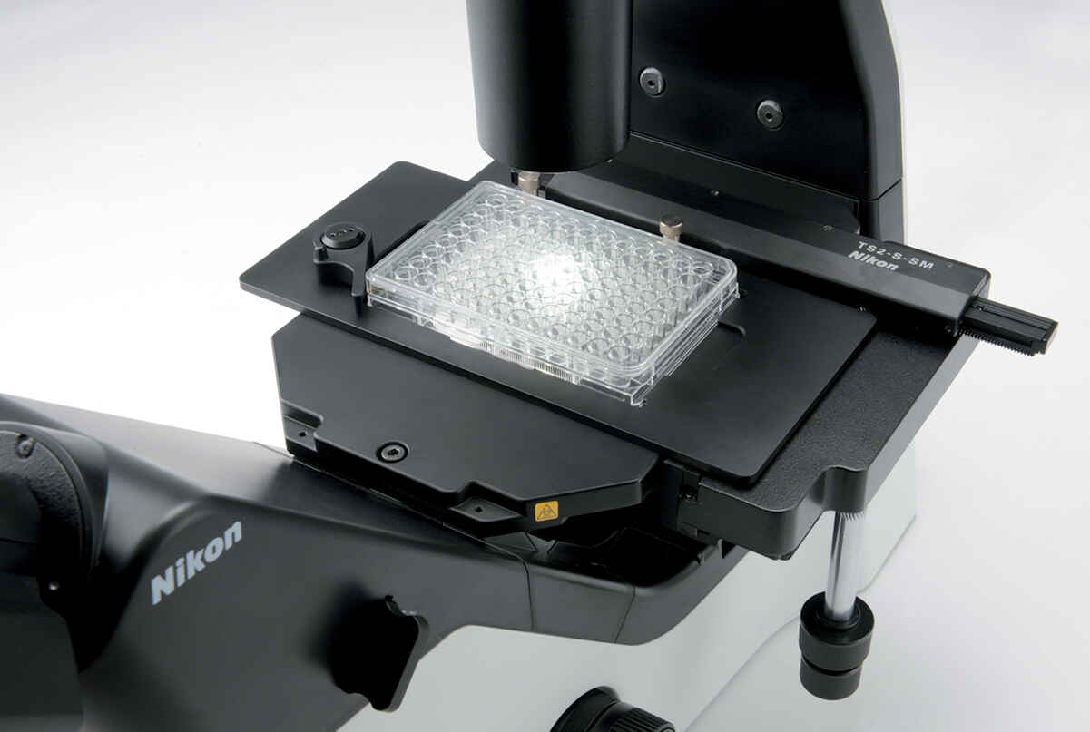 Easy-to-use optional mechanical stage on the Nikon ECLIPSE Ts2 accommodating flasks, well plates and cell culture chambers
