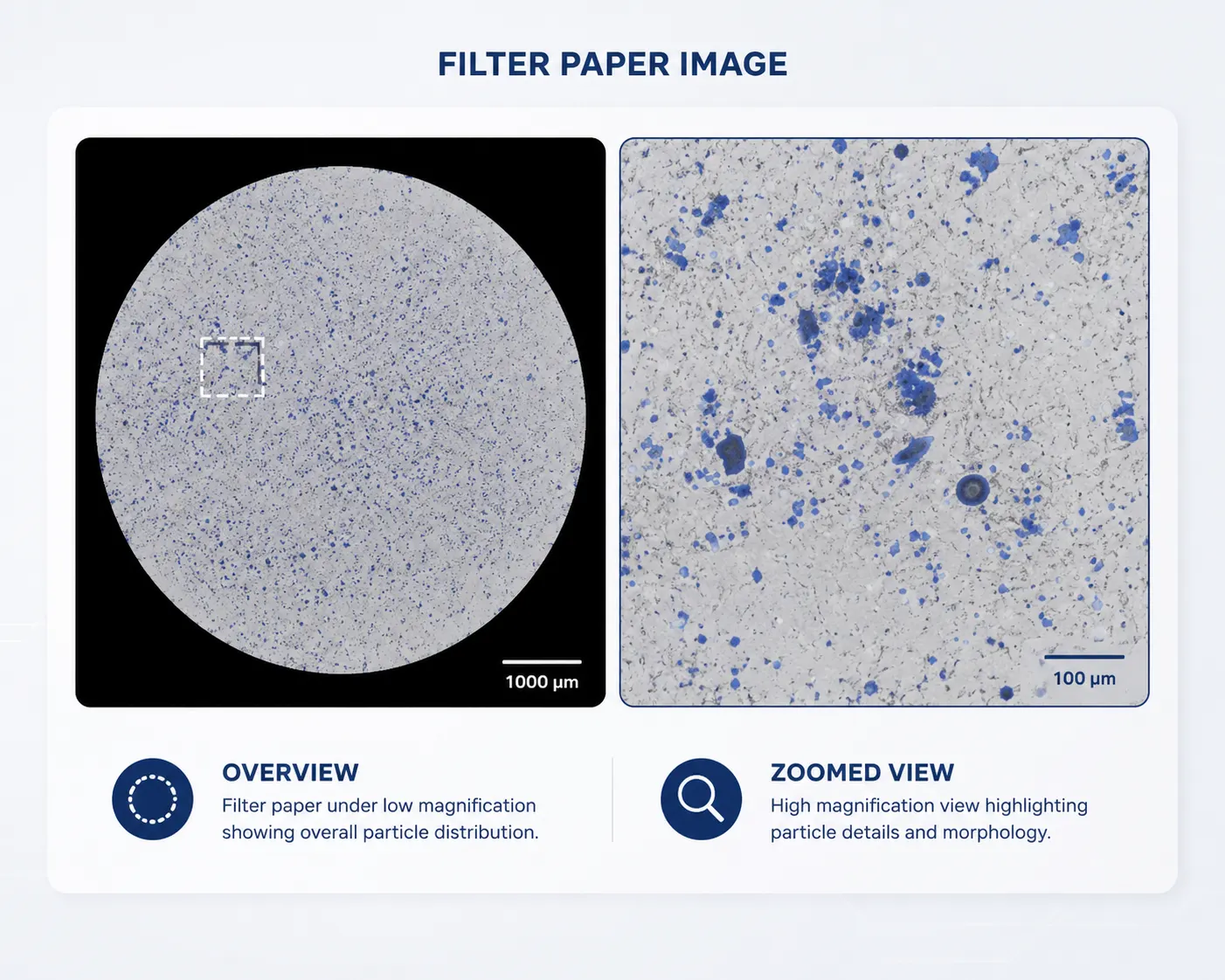Scanned filter paper — 25 mm / 47 mm membrane, Cosmo-PMT