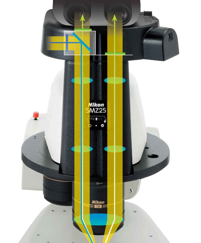 SMZ25/SMZ18 zoom body showing significant improvements in optical performance