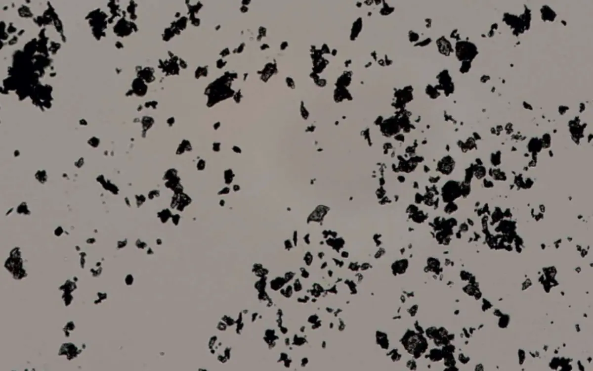 Clustered dry powder particles on a glass slide, manually placed, skewing image analysis results